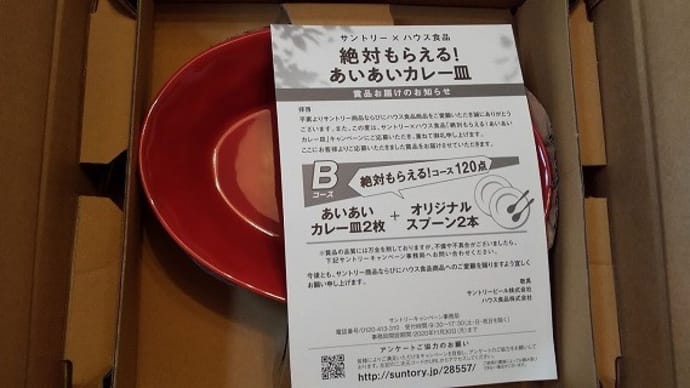 あいあいカレー皿来た