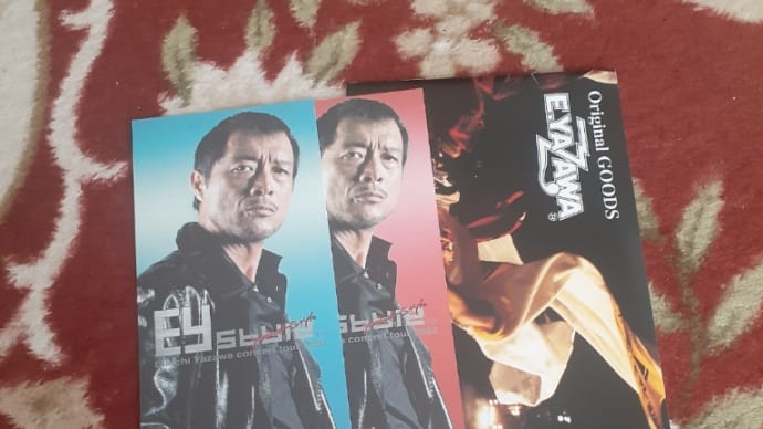 メモリアルチケットとグッズパンフ 9