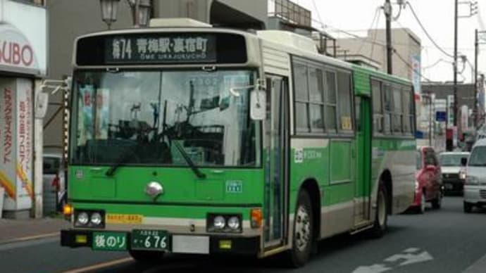 梅74 W-Z302