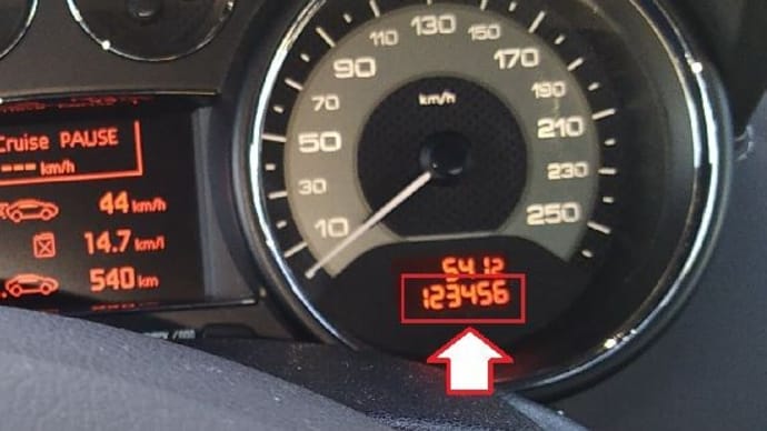 PEUGEOT RCZ 123,456km