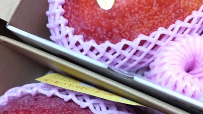 沖縄のアップルマンゴー他