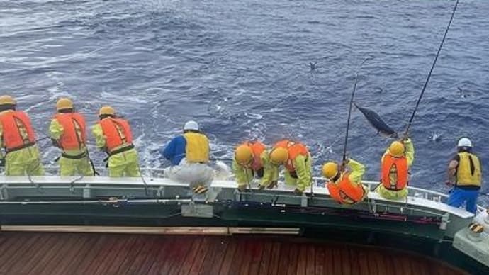 遠洋航海実習(漁場調査6日目)