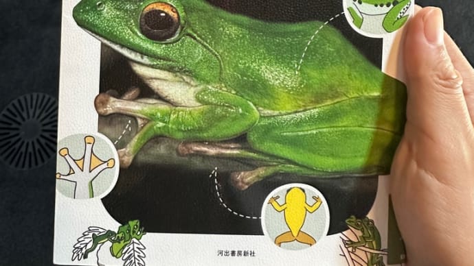 女性ならではの感性ってダメですか?