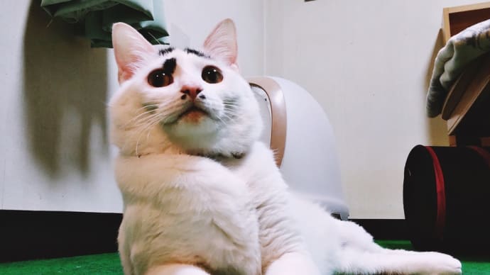 さすがに