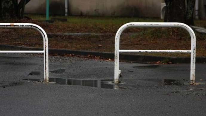 仕事始めの冷たい雨