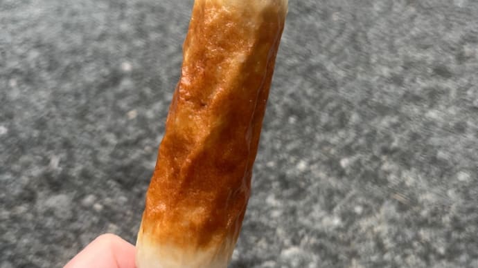 念願の!!