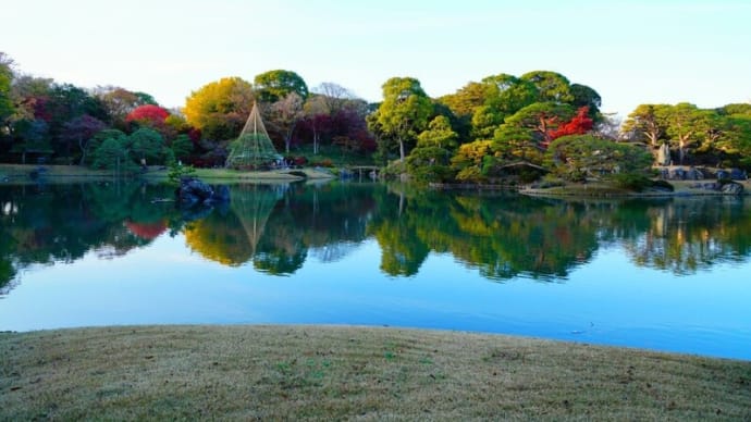 六義園に群がるインコと都電(2023.12.6撮影)