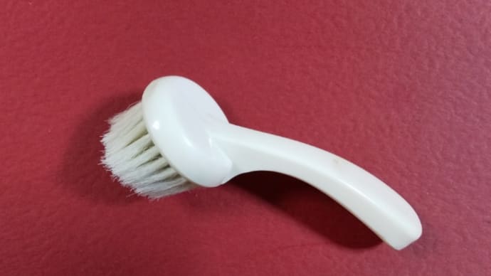 小掃除から漏れていた「トイレ・浴室の換気扇」と洗顔ブラシ