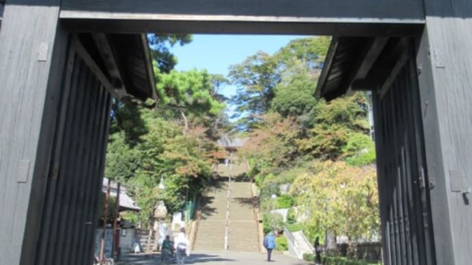 3/5(火)#啓蟄1日#下弦2日#東アジア天気#気象衛星#東京都大田区#池上本門寺#羽田空港#ライブ動画