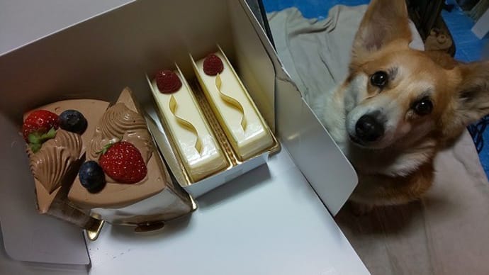 ケーキ&ランチ