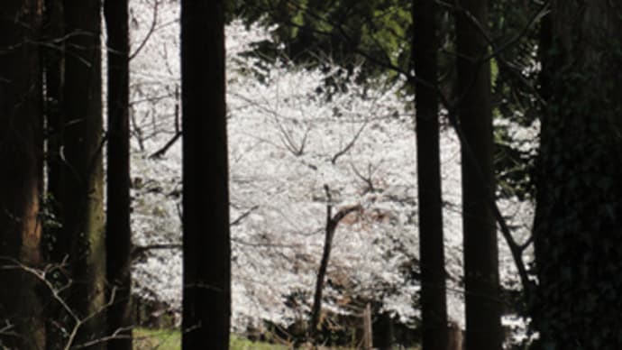 明日も不安定