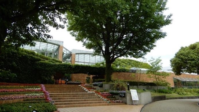 福岡市動植物園　温室・植物園内