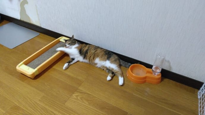喪失感とはなんぞや…。