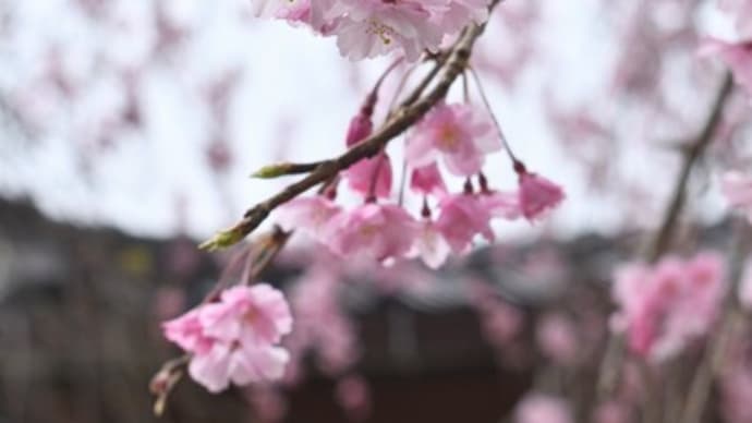 4月の出来事