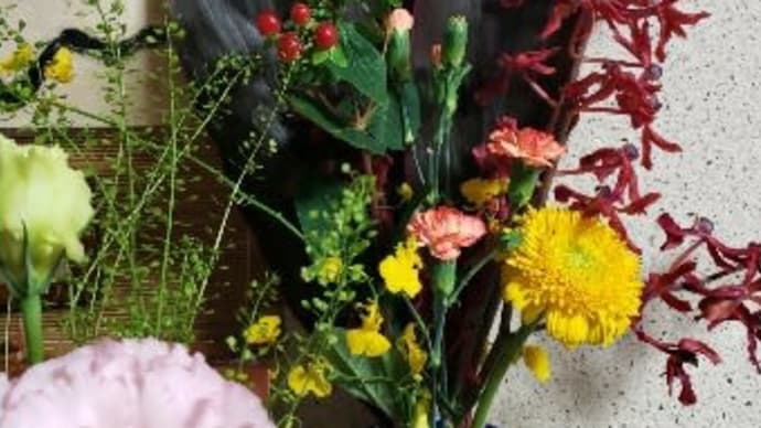 今週(11/30~)の🌼イイハナ🌼
