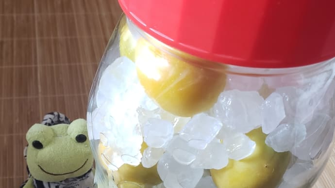 梅シロップ美味しくできますよーに♪