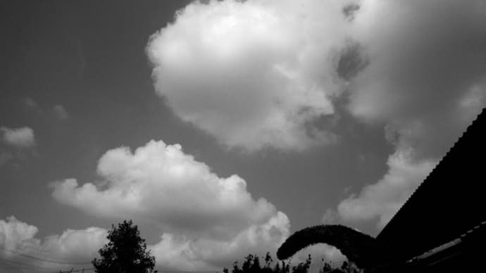 ここ最近の空
