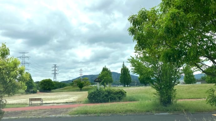 臨時休診のお知らせ 筑紫野市原田 のりこキッズマム歯科医院