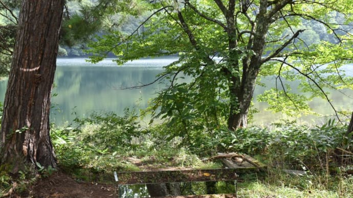 初秋の森のねむり誘う水辺の風景。