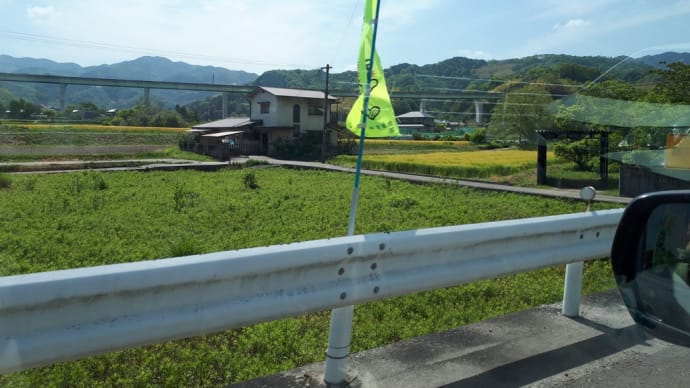 麦秋❗