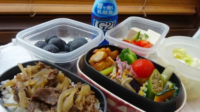 牛丼のお弁当と、入笠山登山
