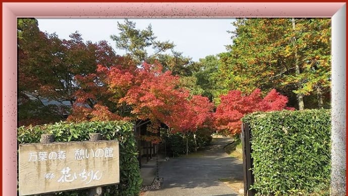 万葉の森の紅葉など