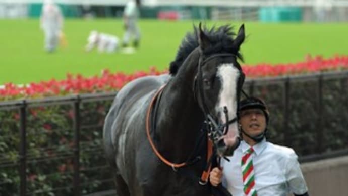 今日も競馬場に行ってきました