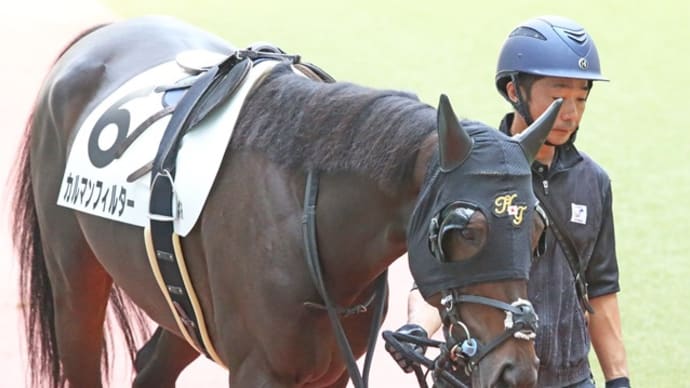 カルマンフィルター、大接戦の3着!