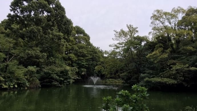 和田掘り公園☆とん汁?で温まる