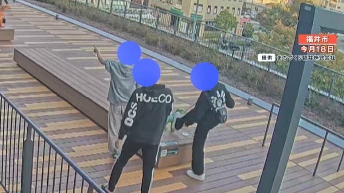 ガキにもキチンと賠償と収監とをもとめろよ!福井市