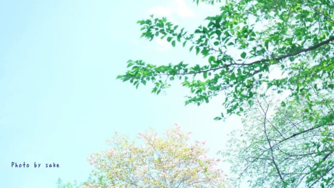 写真にサインを入れる方法(無料で)