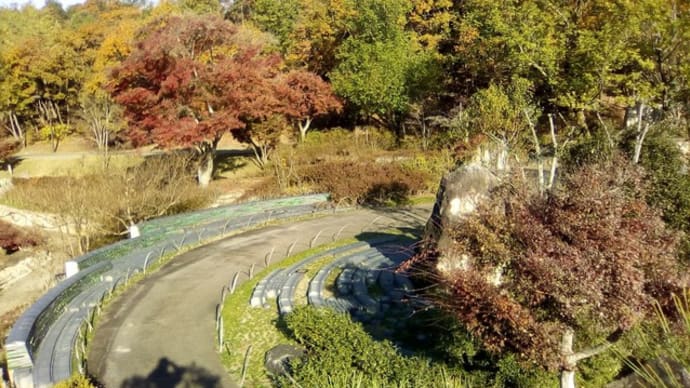 楓池:瓦の庭園