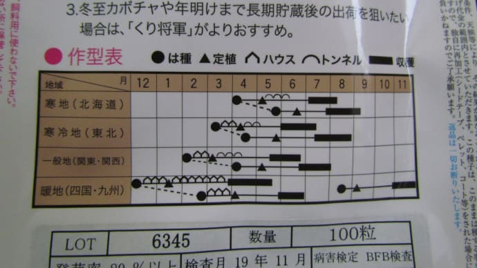 Ｍチン畝へ石灰、菜園へ元肥投入