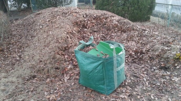 「落ち葉堆肥」作りに