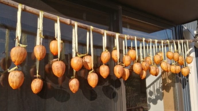 季節の風物詩「干し柿」