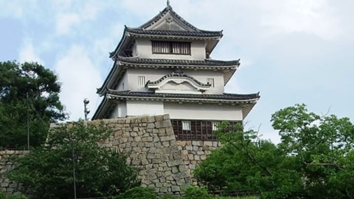 丸亀城天守閣(讃岐国丸亀藩)