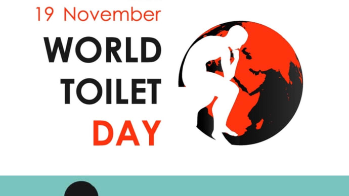 今日は世界トイレの日だそうです🚽