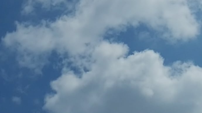 晴れの土曜日