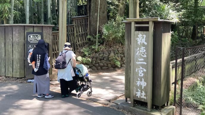 箱根・小田原へ女子旅(5)~報徳二宮神社 & きんじろうカフェ 編~
