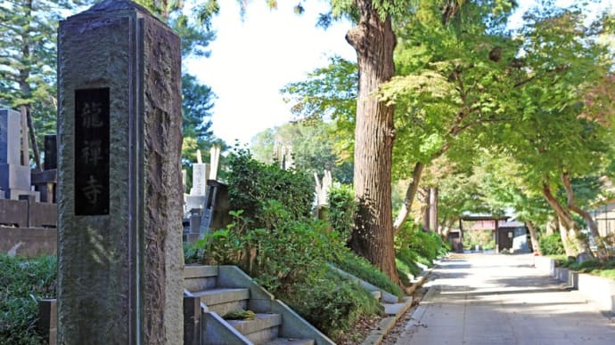 米井山 無量寿院　龍禅寺（茨城県取手市米ノ井）