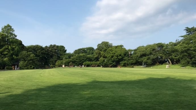 朝の公園