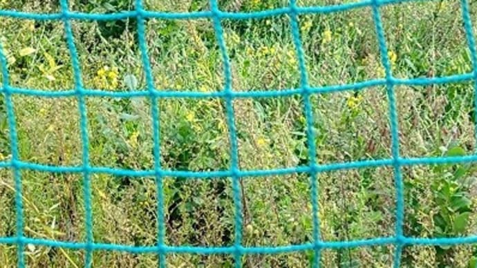秋の風景2024 去年と同じ場所は更に寂れていた