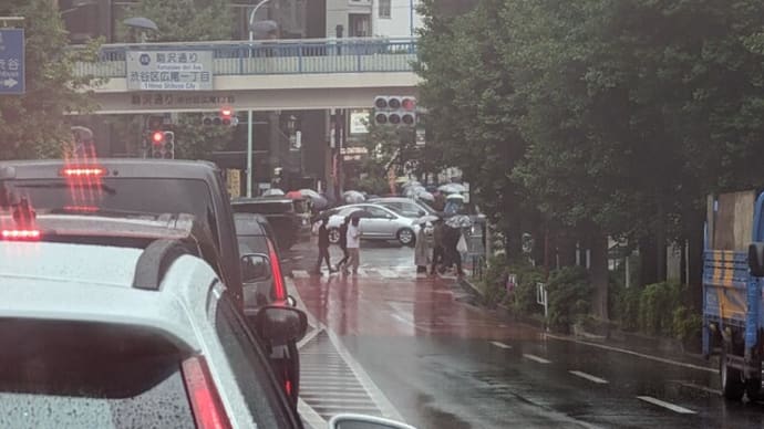 『迷惑行為かと思いましたわ···』