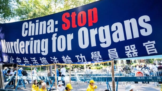 【プレミアム報道】中国共産党が強制臓器摘出に関する西側諸国の議論を封じ込める(2)