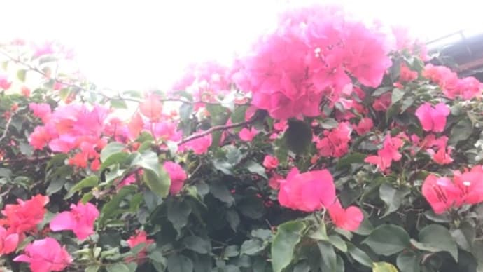 春の旅立ち