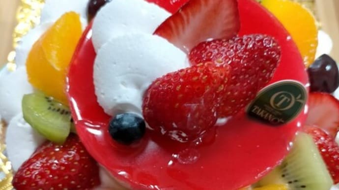 【こどもの頃の夢を叶えよう部】みちこの夢!