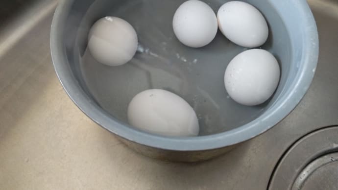 今日はのんびりデー