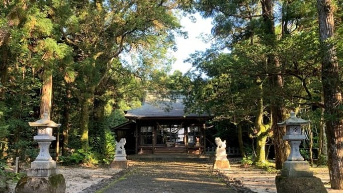 屋久島2020 梅雨明けダイビング（3）　2020/7/30（木）-31（金）