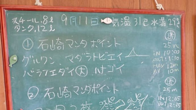 20230911ダイビングログ