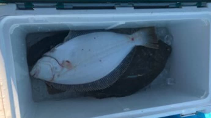 30日・釣果